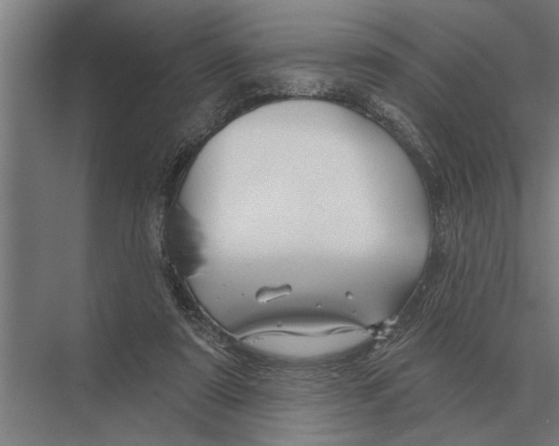 X0000075400307200610061938