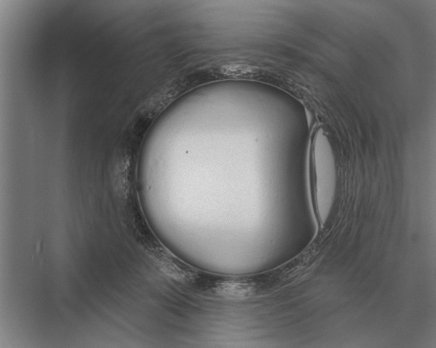 X0000075400319200610061937