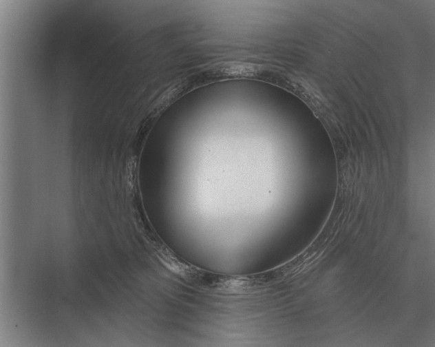 X0000075400325200610061937
