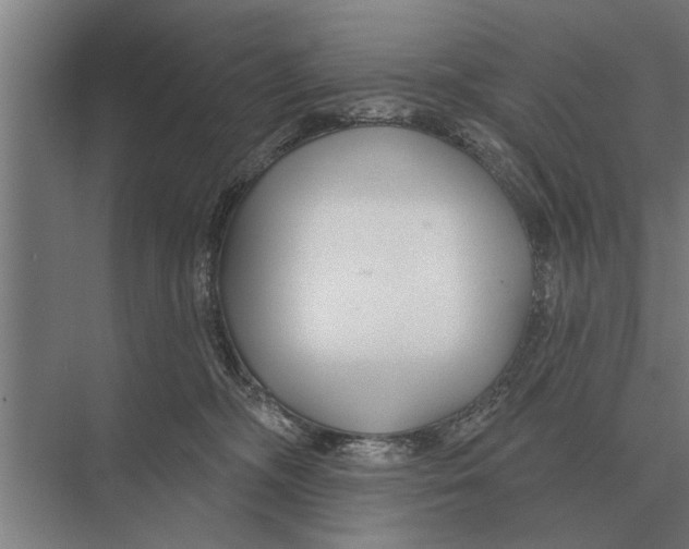 X0000075400326200610061937