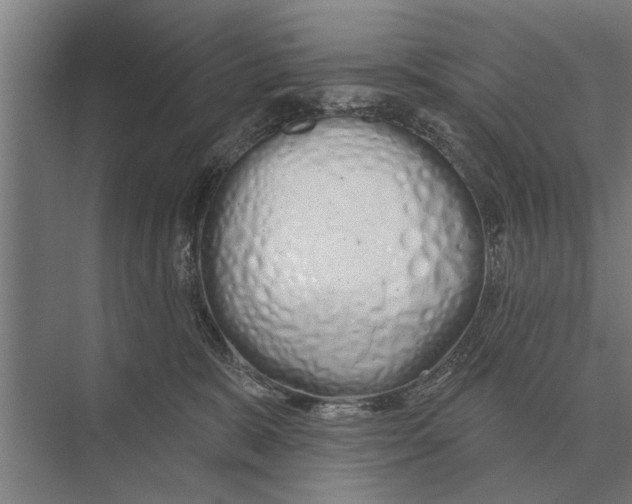 X0000075400327200610061937