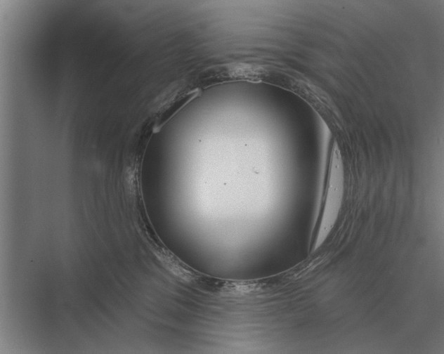 X0000075400329200610061937