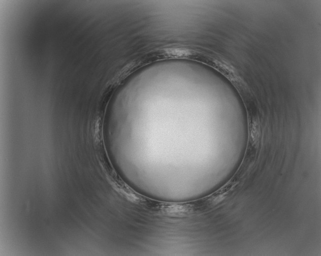 X0000075400330200610061937