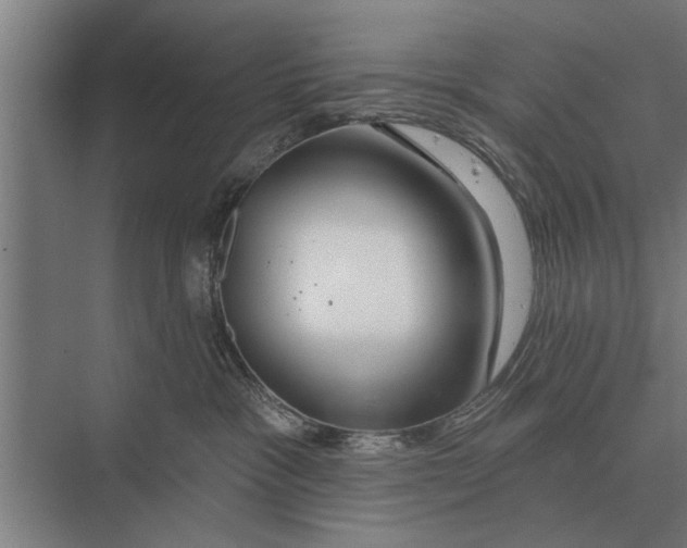 X0000075400333200610061937