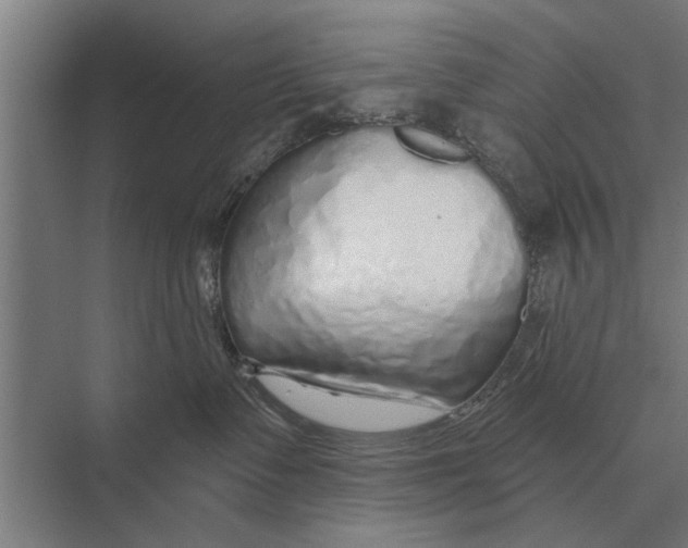X0000075400335200610061937
