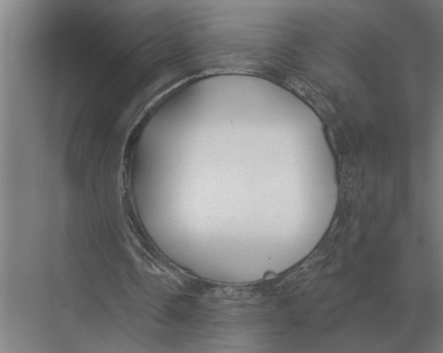 X0000075400338200610061936