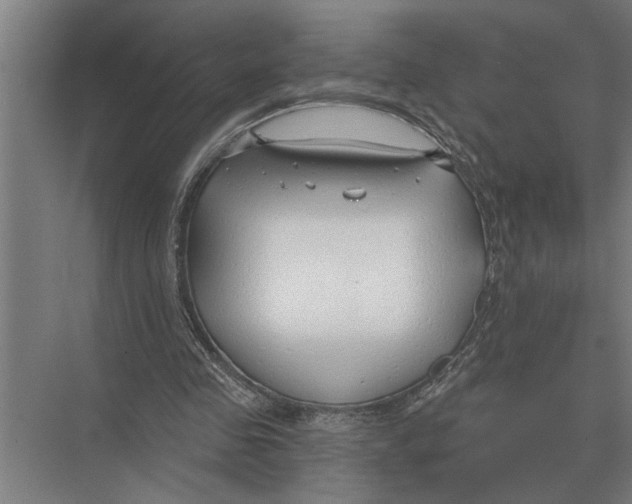 X0000075400341200610061936