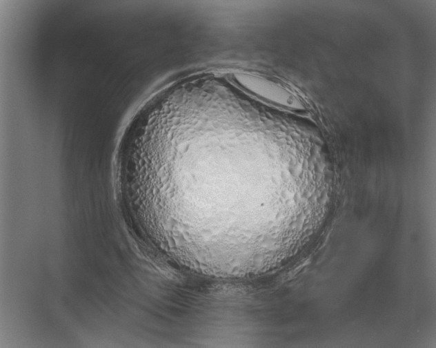 X0000075400343200610061936
