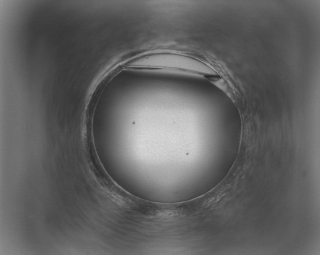 X0000075400344200610061936