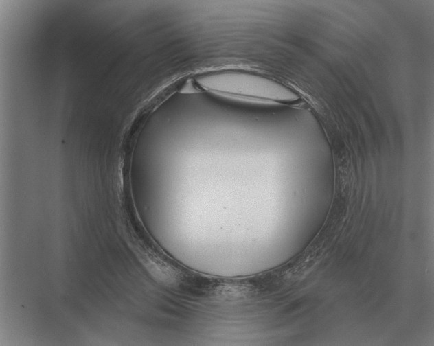 X0000075400350200610061937
