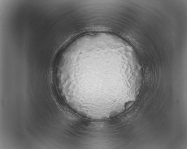 X0000075400351200610061937