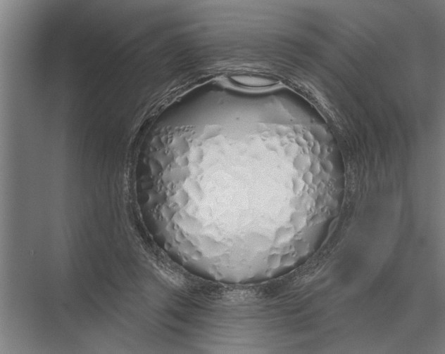 X0000075400357200610061937