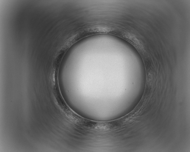 X0000075400358200610061937