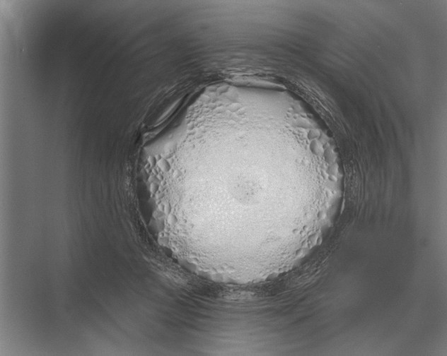 X0000075400361200610061937