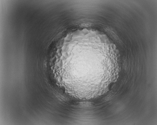 X0000075400363200610061937