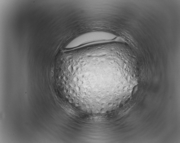 X0000075400365200610061937