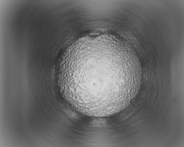 X0000075400369200610061937