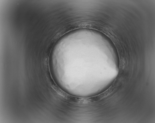 X0000075400375200610061937