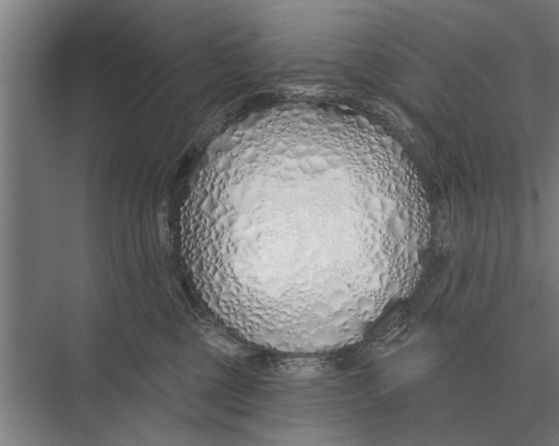 X0000075400377200610061937