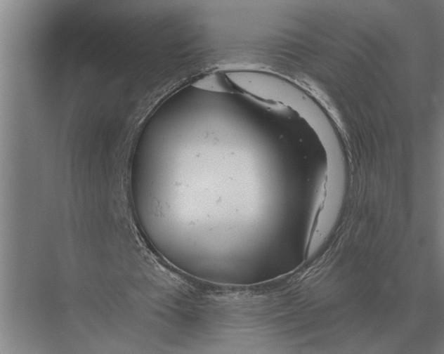 X0000075400385200610061936