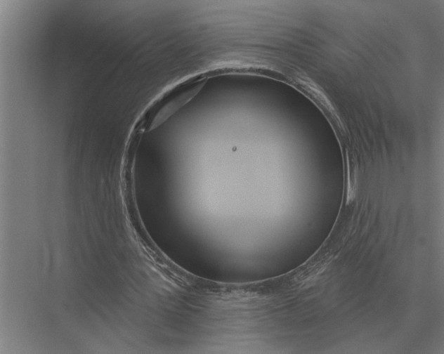 X0000075400387200610061936