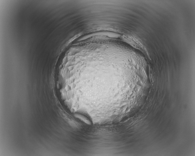 X0000075400390200610061936