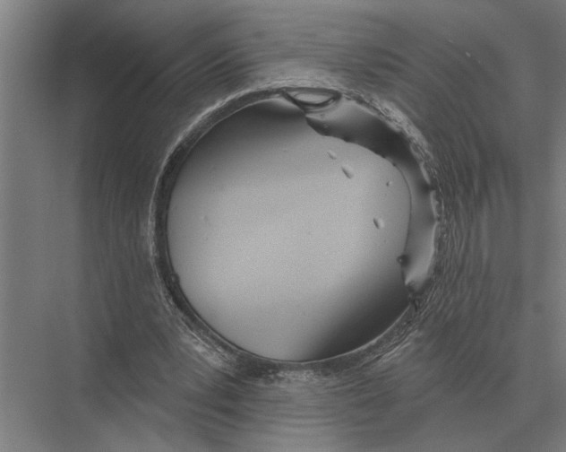 X0000075400391200610061936