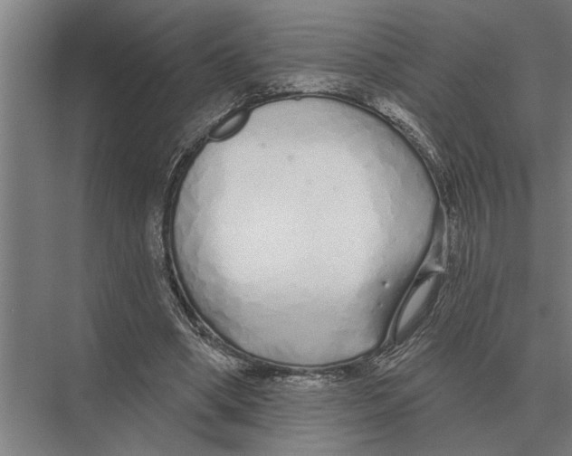X0000075400394200610061936