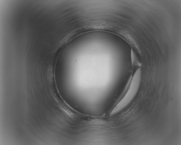 X0000075400397200610061936