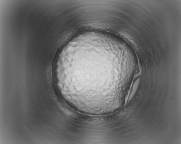 X0000075400398200610061936