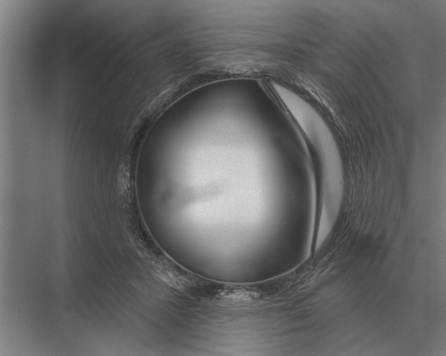 X0000075400407200610061936