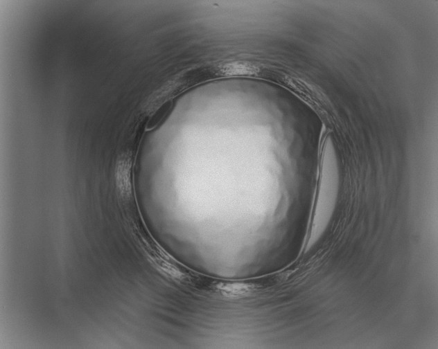 X0000075400409200610061936