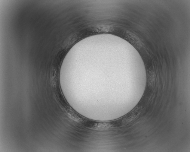 X0000075400414200610061936