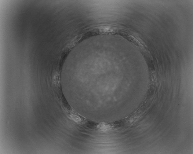 X0000075400419200610061936