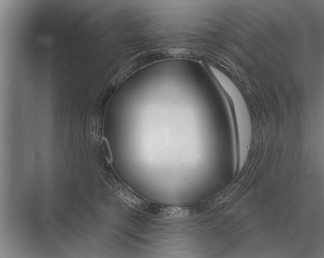 X0000075400421200610061936