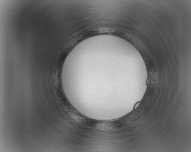 X0000075400422200610061936