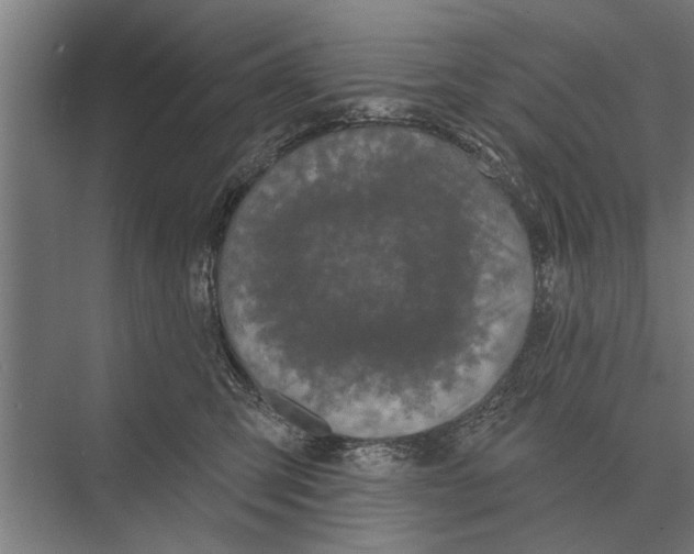 X0000075400423200610061936