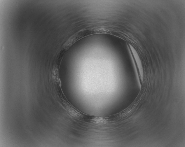 X0000075400425200610061936