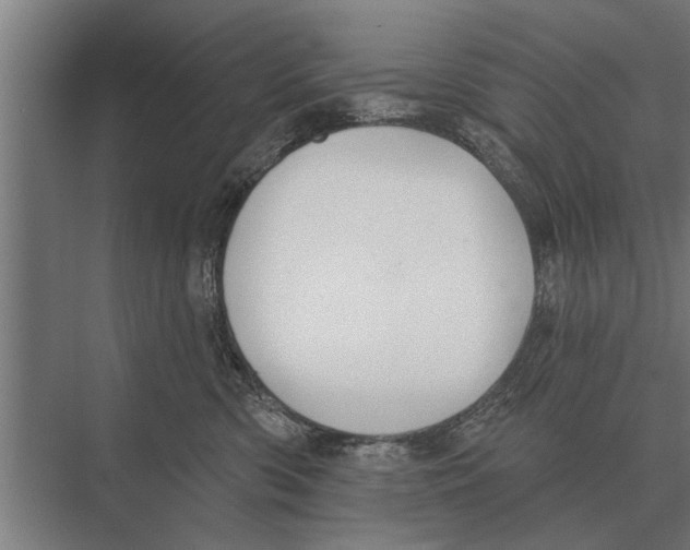 X0000075400426200610061936