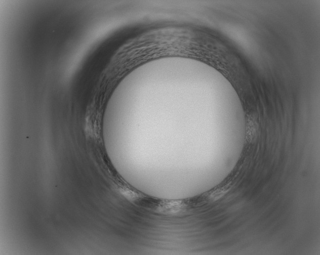 X0000075400431200610061936