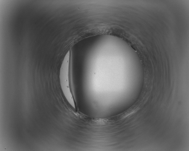 X0000075400432200610061935