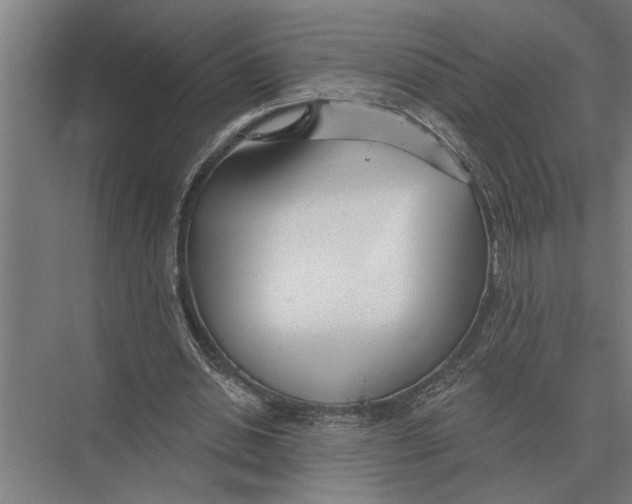 X0000075400438200610061935