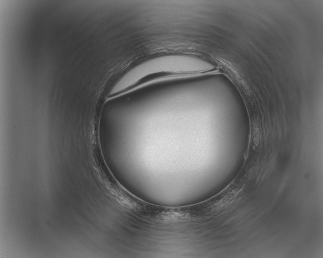 X0000075400453200610061935