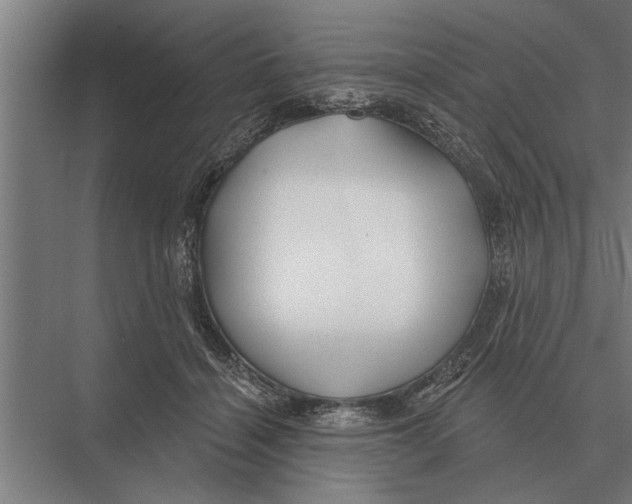 X0000075400460200610061935