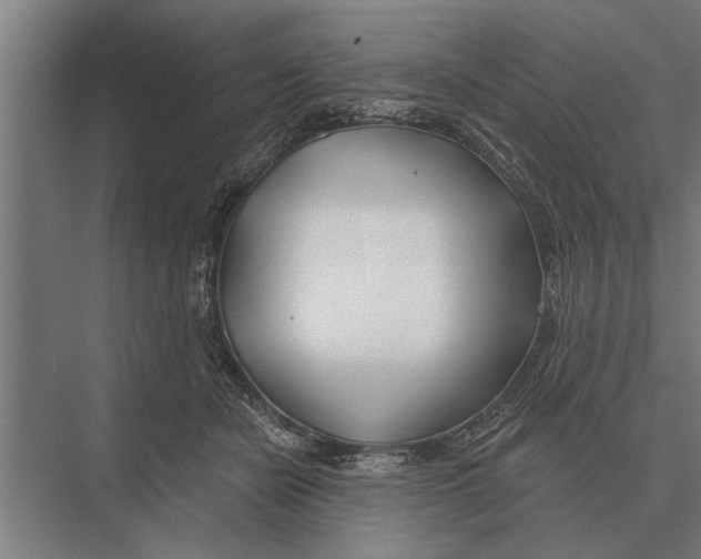 X0000075400462200610061935