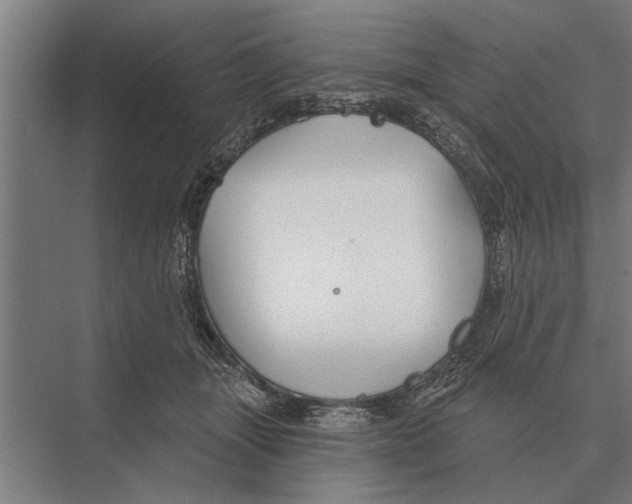 X0000075400463200610061935