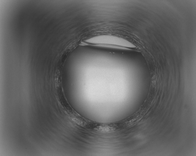 X0000075400464200610061935