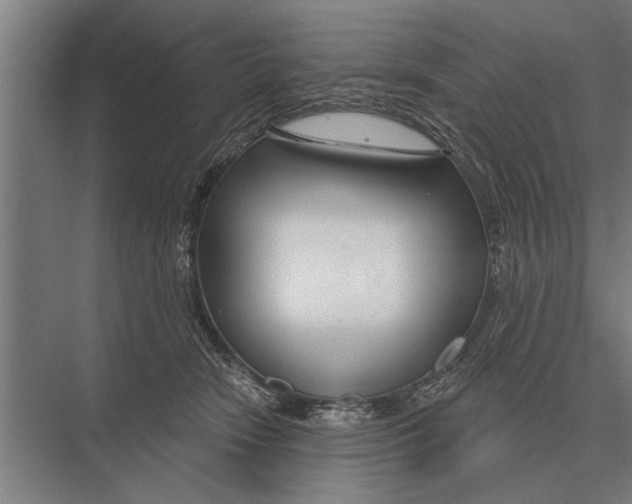 X0000075400466200610061935