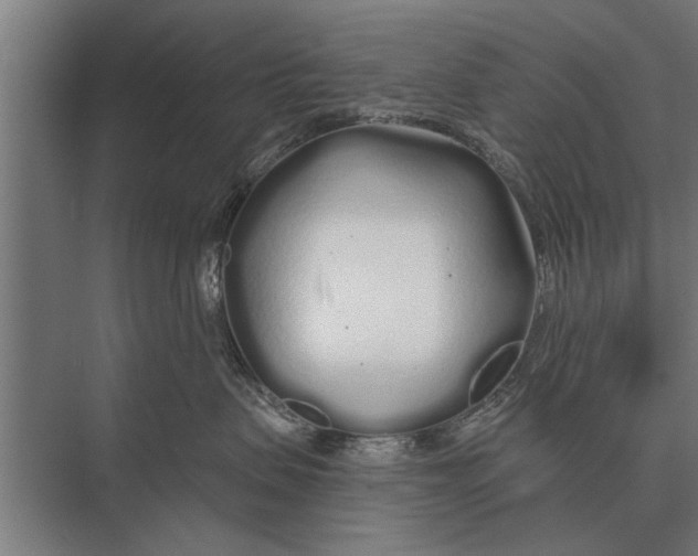 X0000075400479200610061935