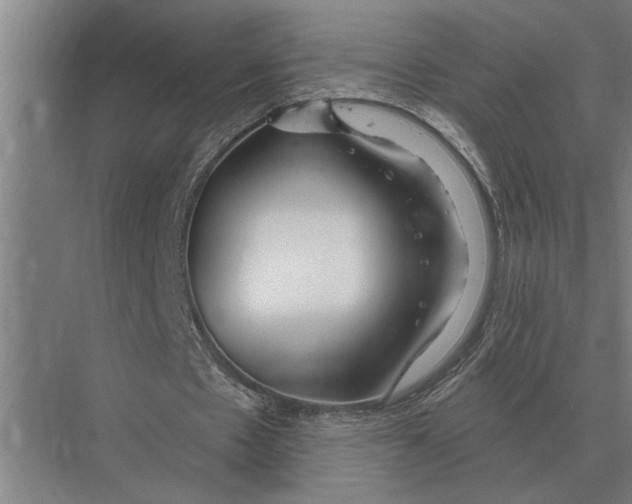 X0000075400481200610061935